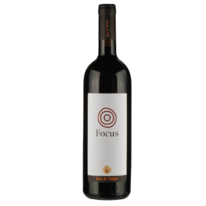 Focus Merlot Zuc di Volpe DOC 2015