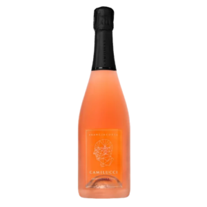 Franciacorta Ammonites Rosé Dosage Zero