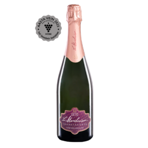 Franciacorta Artio Rosé Millesimato 2019